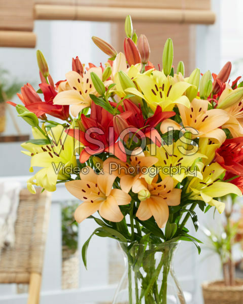 Lilium bouquet Lilium bouquet