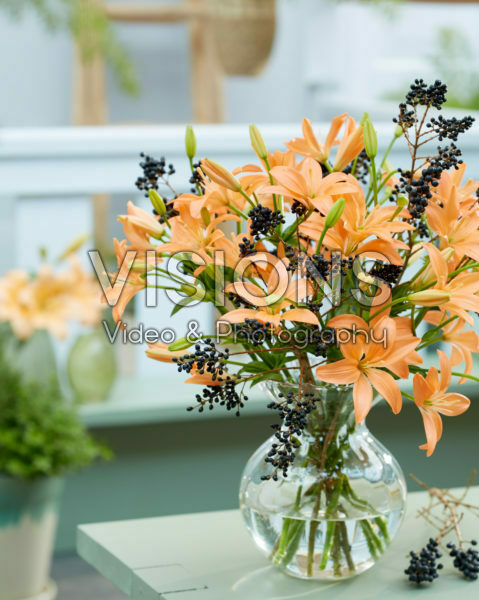 Lilium Orange Cocotte Lilium Orange Cocotte