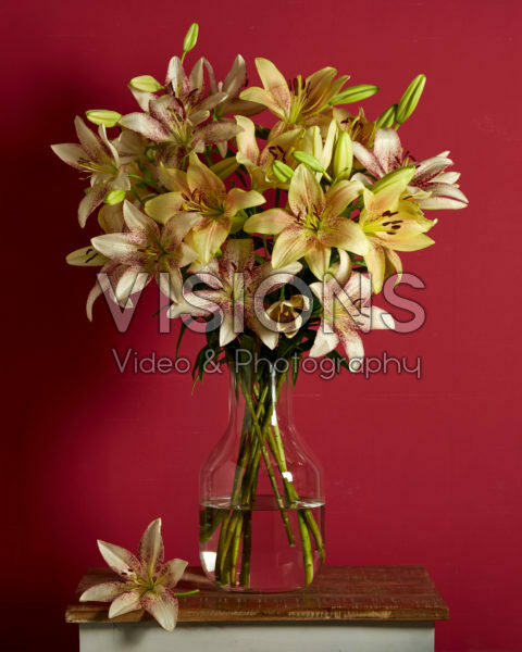 Lilium boeket Lilium boeket