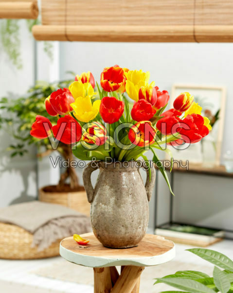 Tulipa bouquet Tulipa bouquet