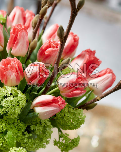 Bouquet Tulipa Lingerie, Viburnum opulus Roseum Bouquet Tulipa Lingerie, Viburnum opulus Roseum