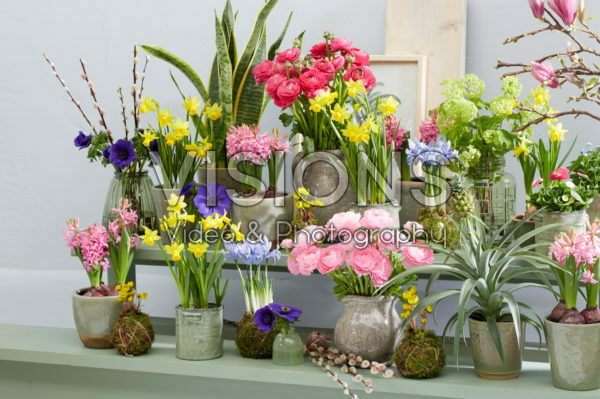 Spring collection Spring collection
