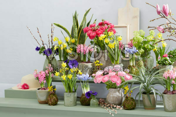 Spring collection Spring collection