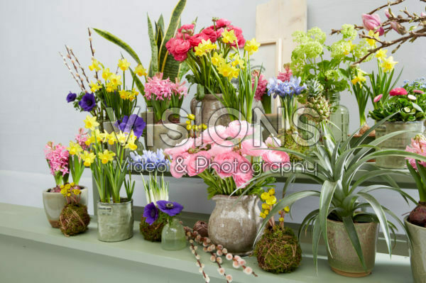 Spring collection Spring collection
