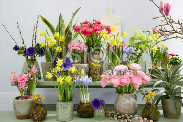 Spring collection Spring collection