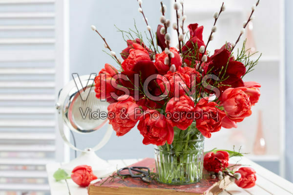 Hippeastrum spring combination Hippeastrum spring combination