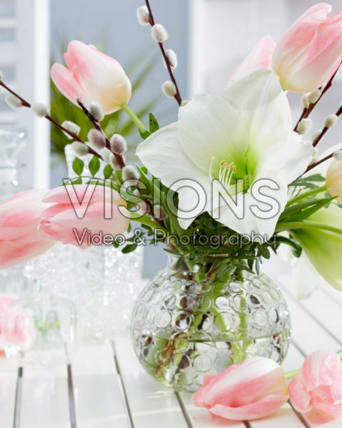 Hippeastrum lentecombinatie Hippeastrum lentecombinatie