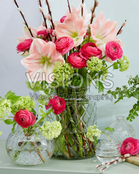 Hippeastrum lentecombinatie Hippeastrum lentecombinatie