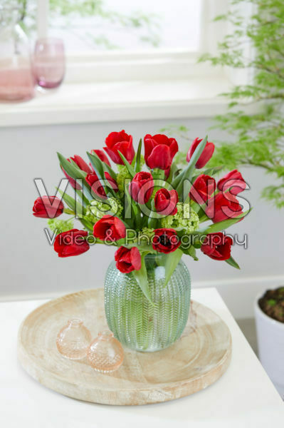 Tulipa Ile de France bouquet Tulipa Ile de France bouquet