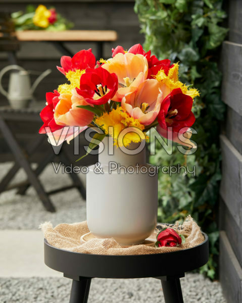 Tulip mix on vase Tulip mix on vase