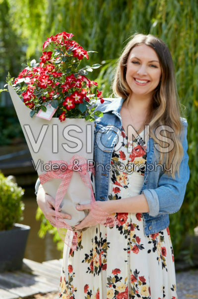 Rosa Everglow Ruby Rosa Everglow Ruby