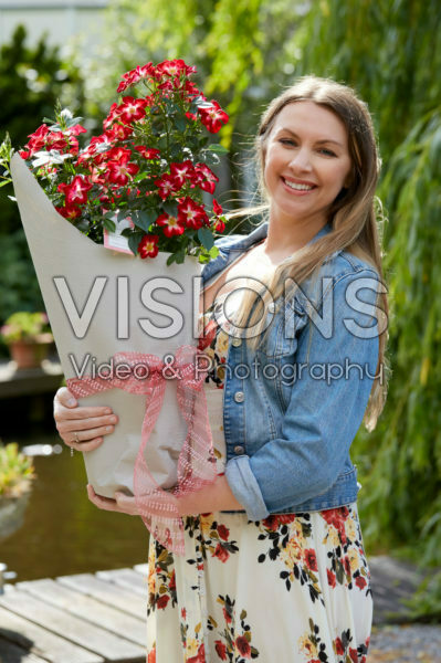Rosa Everglow Ruby Rosa Everglow Ruby