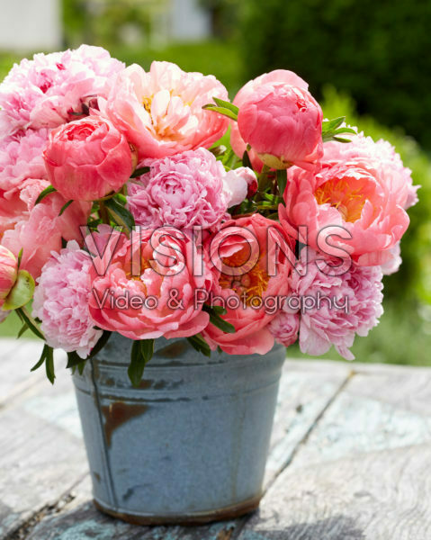 Paeonia pastel bouquet Paeonia pastel bouquet
