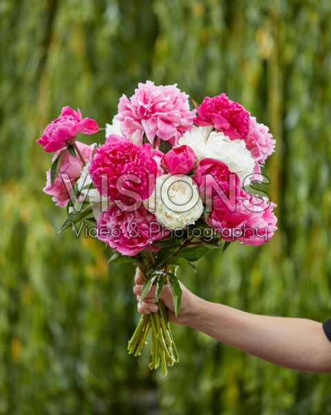 Paeonia mixed bouquet Paeonia mixed bouquet