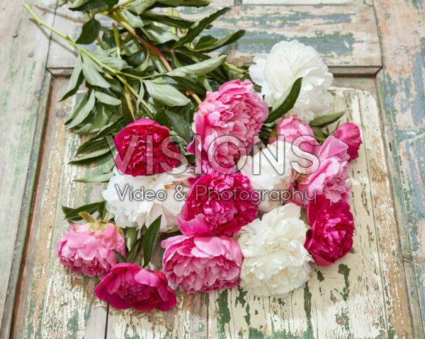 Paeonia mixed bouquet Paeonia mixed bouquet