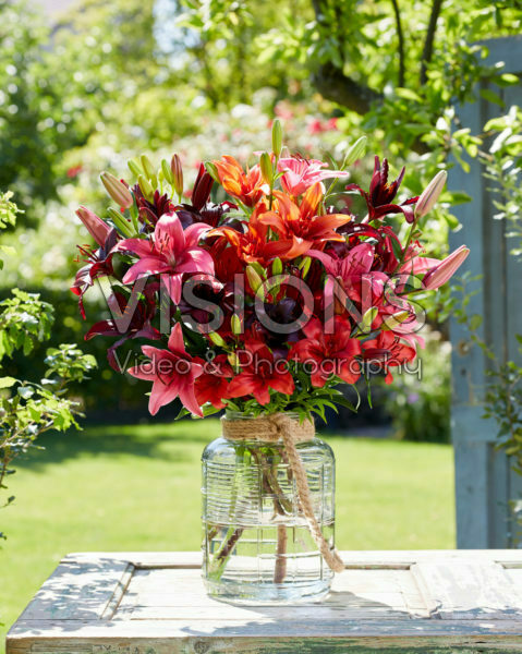 Mixed lily bouquet Mixed lily bouquet