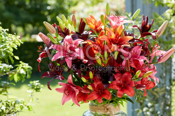 Mixed lily bouquet Mixed lily bouquet