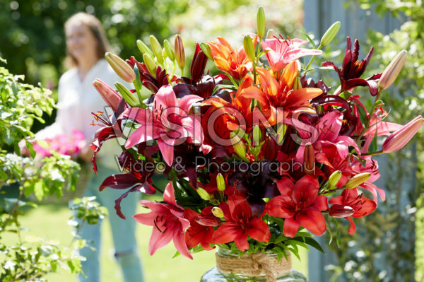 Mixed lily bouquet Mixed lily bouquet