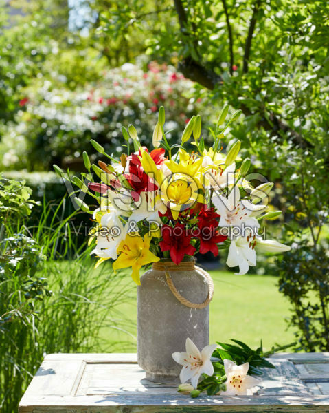 Mixed lily bouquet Mixed lily bouquet