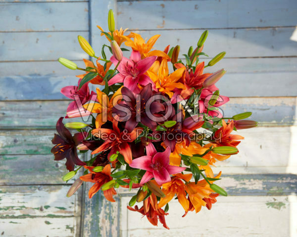 Mixed lily bouquet Mixed lily bouquet