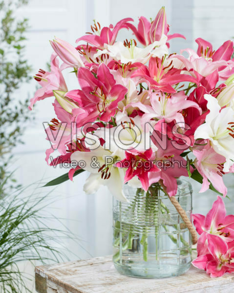 Lilium oriental pastel bouquet Lilium oriental pastel bouquet