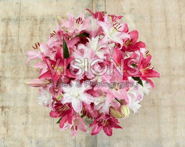 Lilium oriental pastel bouquet Lilium oriental pastel bouquet
