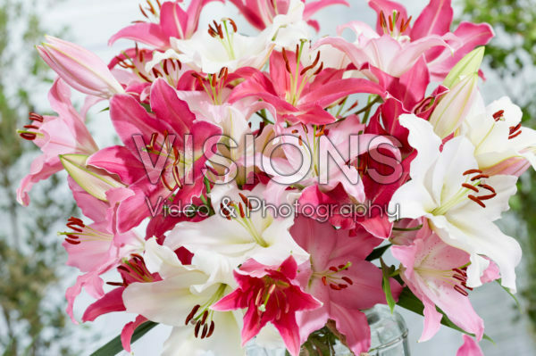 Lilium oriental pastel bouquet Lilium oriental pastel bouquet