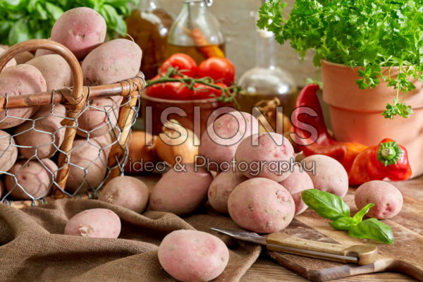 Solanum tuberosum Caledonian Rose Solanum tuberosum Caledonian Rose