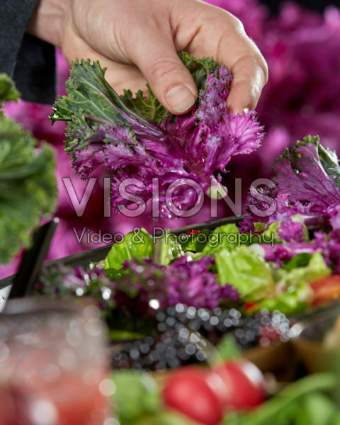 Brassica, eetbare sierkool Brassica, eetbare sierkool