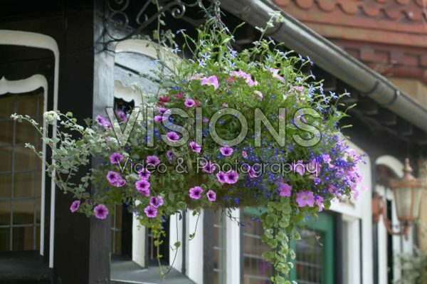 Hanging basket Hanging basket