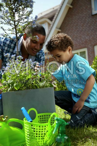 Family planting Ceanothus and Brunnera Family planting Ceanothus and Brunnera