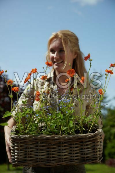 Woman holding basket with Geum and Myosotis Woman holding basket with Geum and Myosotis