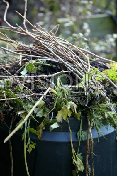 Pruned twigs Pruned twigs