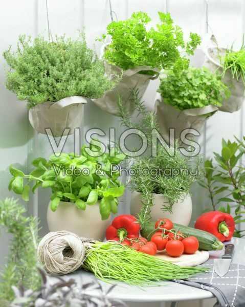 Herbs and vegetables Herbs and vegetables