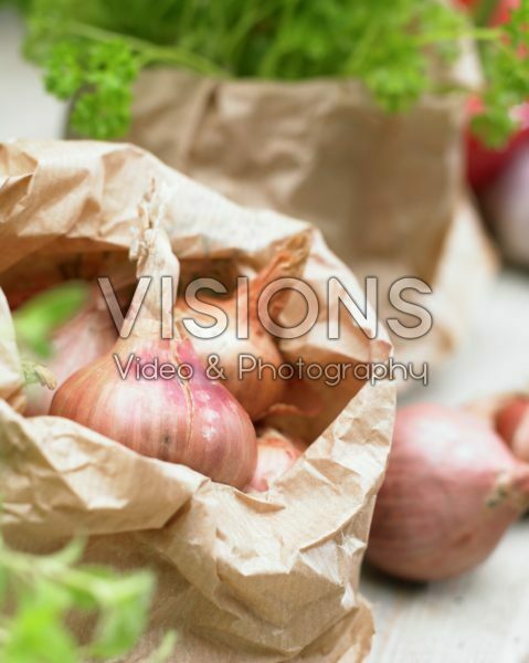 Allium cepa Allium cepa