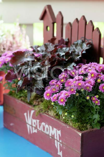 Autumn container Autumn container