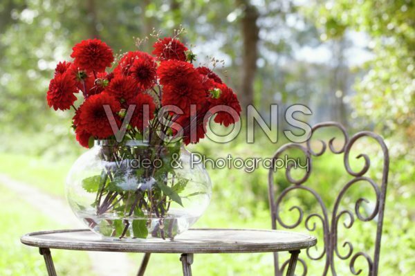 Dahlia bouquet Dahlia bouquet