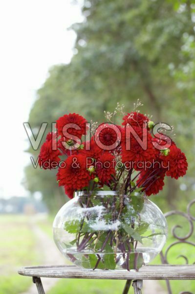 Dahlia bouquet Dahlia bouquet
