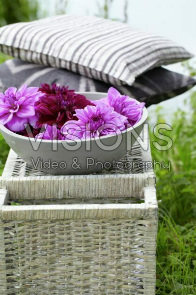 Dahlias in bowl Dahlias in bowl