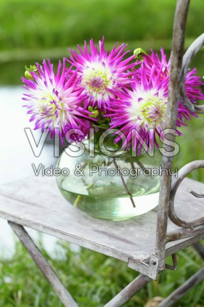 Dahlia bouquet Dahlia bouquet
