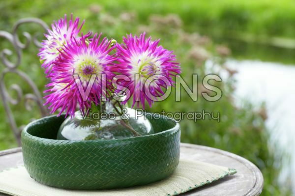 Dahlia bouquet Dahlia bouquet
