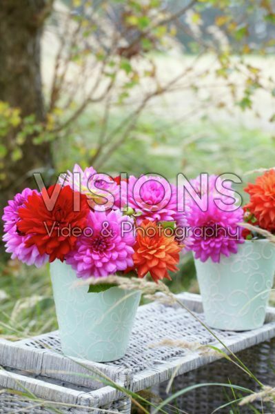 Dahlia bouquet Dahlia bouquet