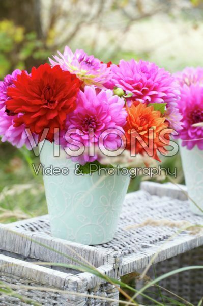 Dahlia bouquet Dahlia bouquet