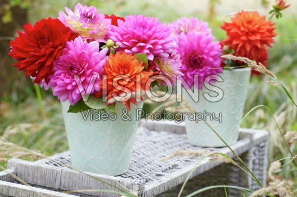 Dahlia bouquet Dahlia bouquet