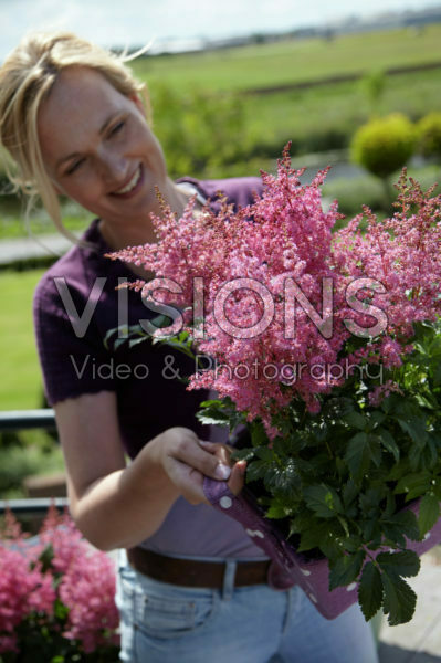 Woman holding Astilbe Woman holding Astilbe