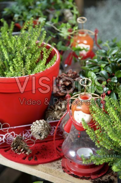 Winter container Winter container