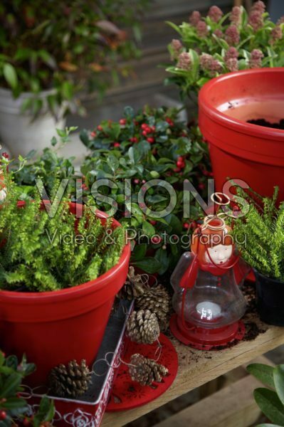 Winter container Winter container