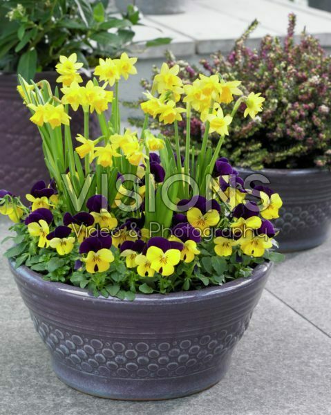 Spring container Spring container