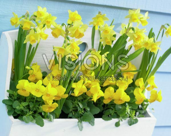 Spring container Spring container