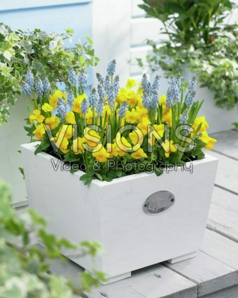 Spring container Spring container